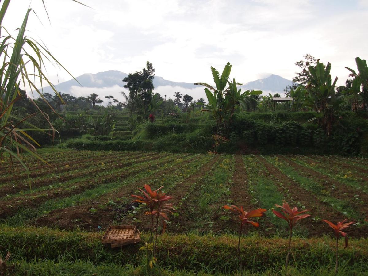 Tetebatu Mountain View Homestay Exterior photo