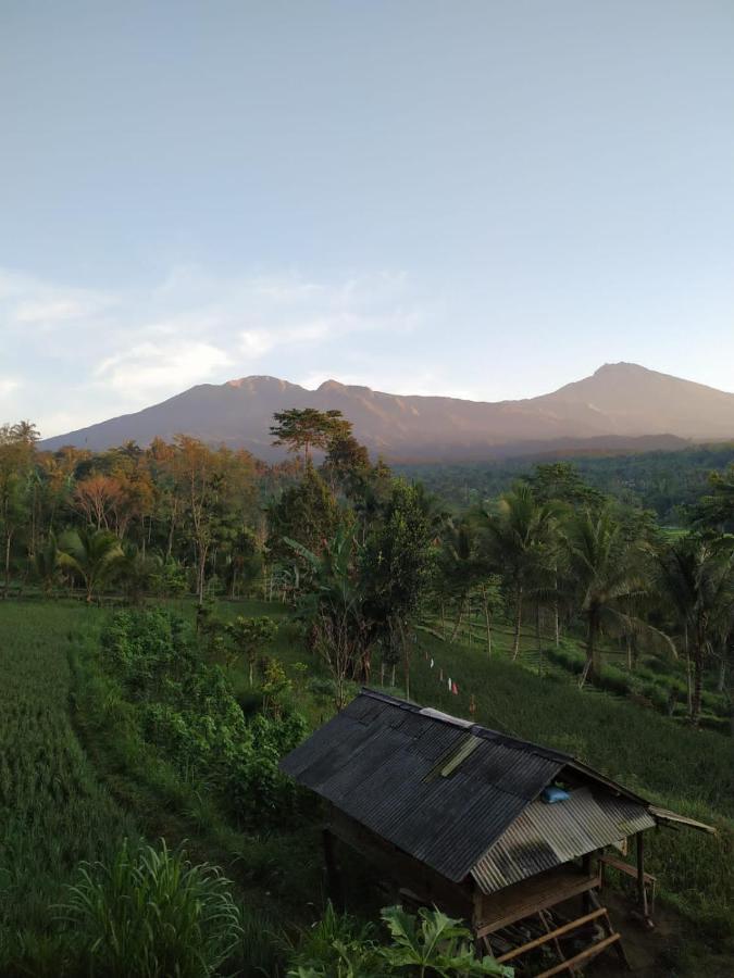 Tetebatu Mountain View Homestay Exterior photo